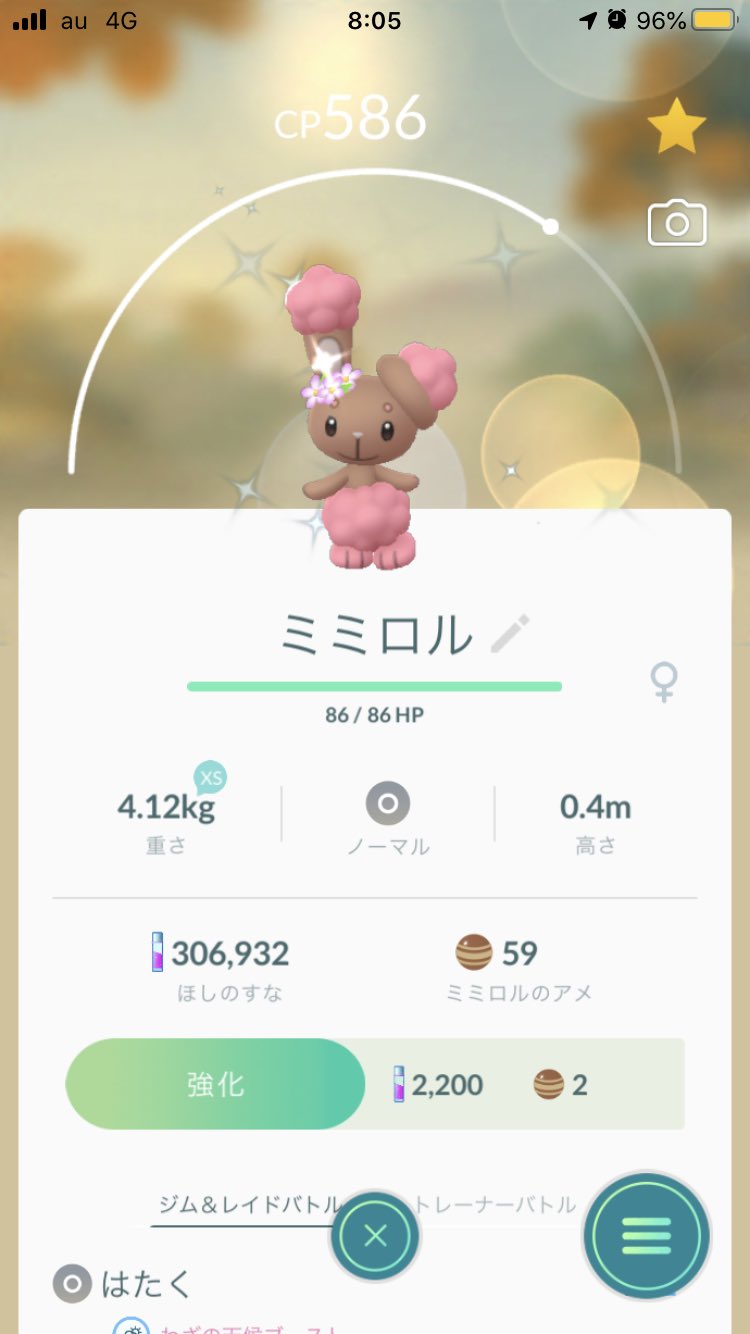 よっぴ6 朝一色違いミミロル 運よし ポケモンgo 色違い T Co 1fvxjz8cod Twitter