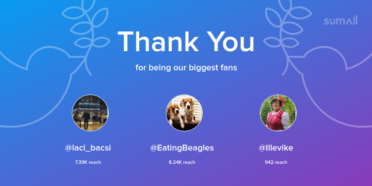 Our biggest fans this week: laci_bacsi, EatingBeagles, Illevike. Thank you! via sumall.com/thankyou?utm_s…