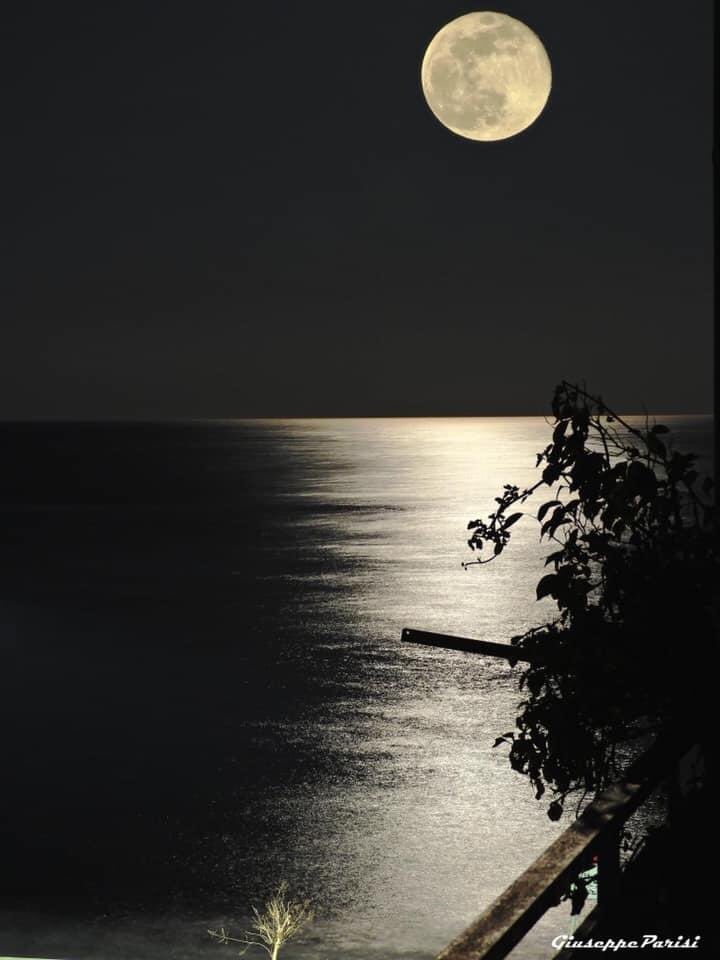 GIUSI MUSUMARRA tweet media