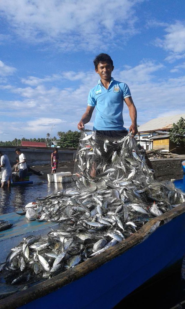 Bottom Gillnet
Nelayan Tobelo