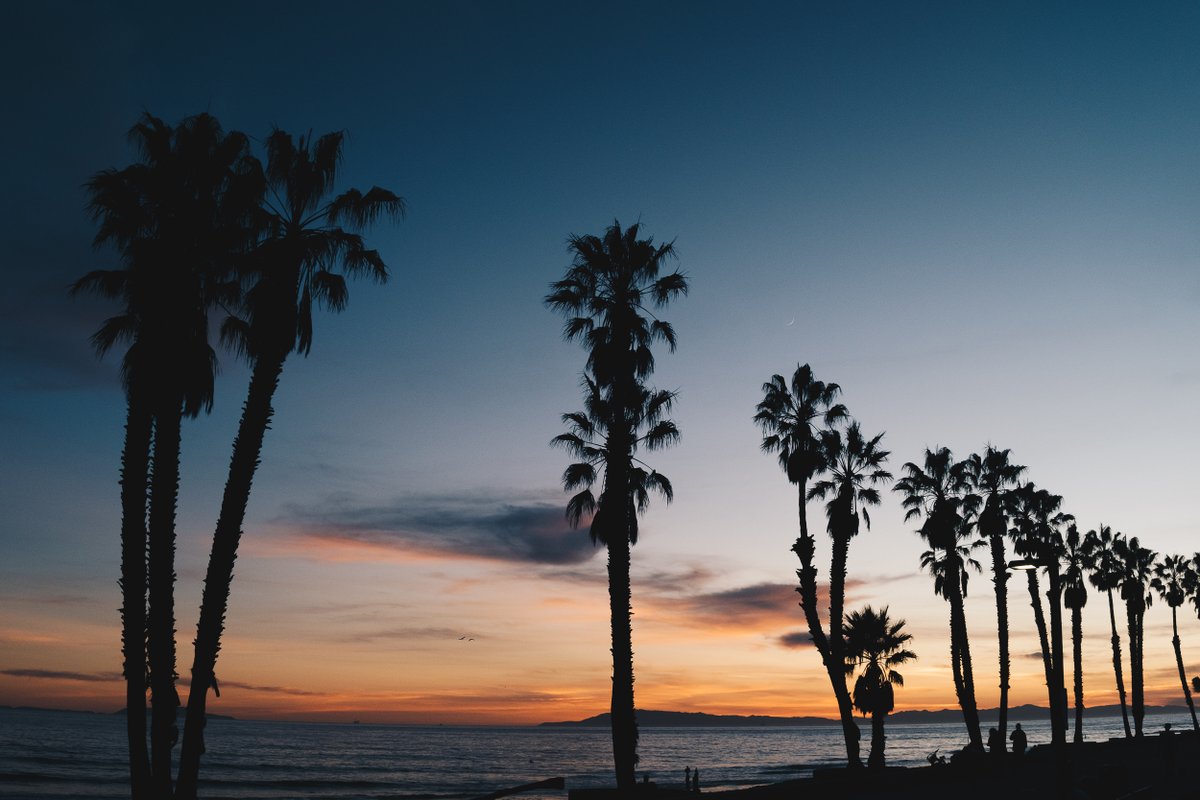 Wavecation's tweet photo. Relaxed Southern California evenings. 🌴🌴🌴 #socal #stayhomeshredlater 📷: @waipastudio https://t.co/ioAjd0cMr0