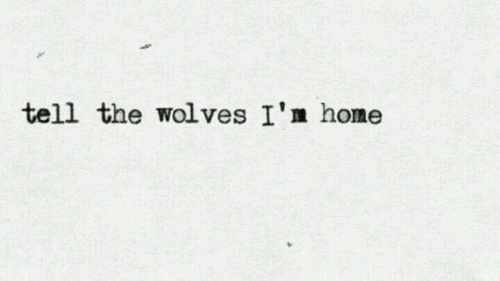 Theo Thomas (@noplayinitsafe) on Twitter photo 