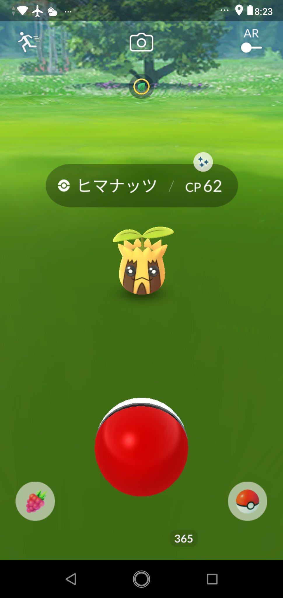 色違いキマワリ Twitter Search Twitter