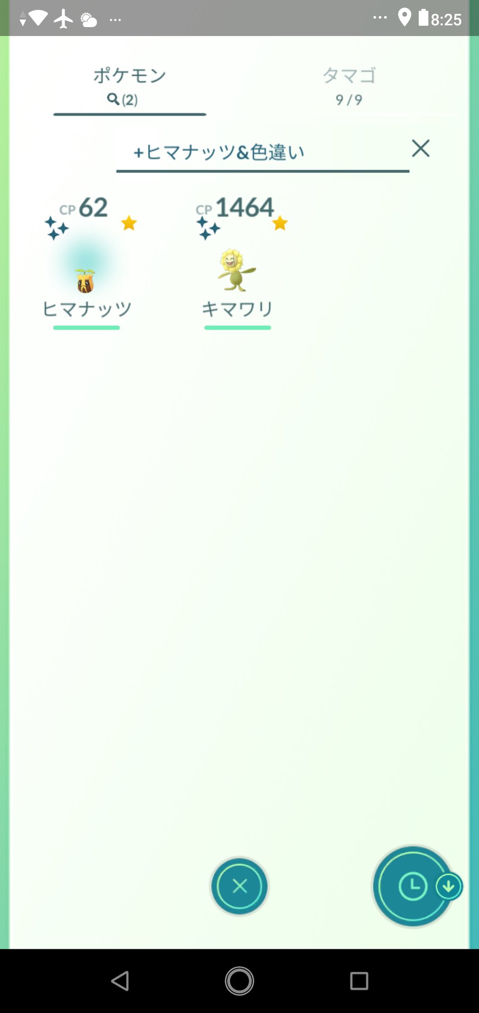 色違いキマワリ Twitter Search Twitter