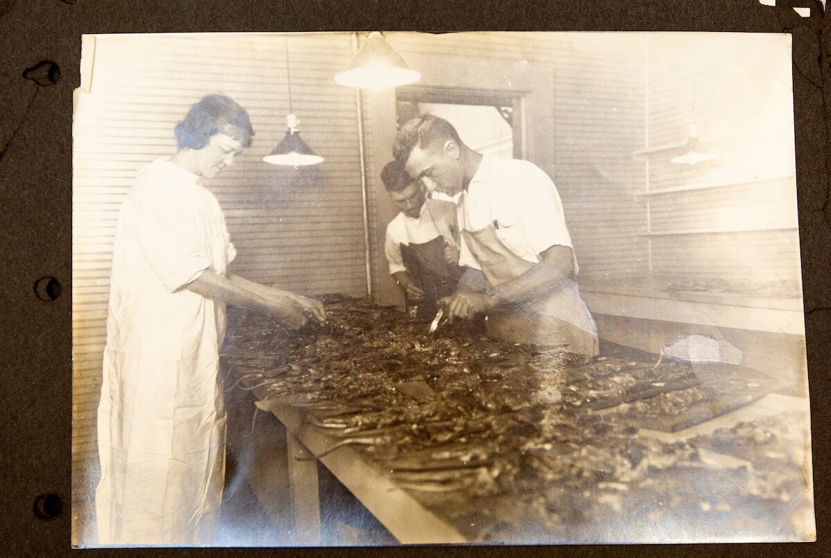 Here's a picture of the plague lab workers collecting samples from tens of thousands of collected rats.Source for this image and more: ( https://www.tmc.edu/news/2020/02/bubonic-plague-in-galveston-recalled-in-its-centennial-year/)