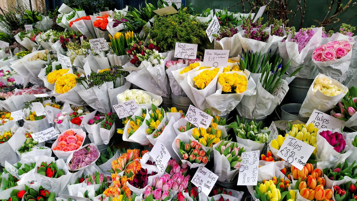 ハナコです イギリスについてつぶやく このお花屋さんの写真を撮ったのは1ヶ月前 もうすごく前 遠いことのように感じる 今はお花屋さんはお休み中 スーパーでは少しお花売ってます お花屋さん 大丈夫かな 次に買いに行く時まで元気でいてください