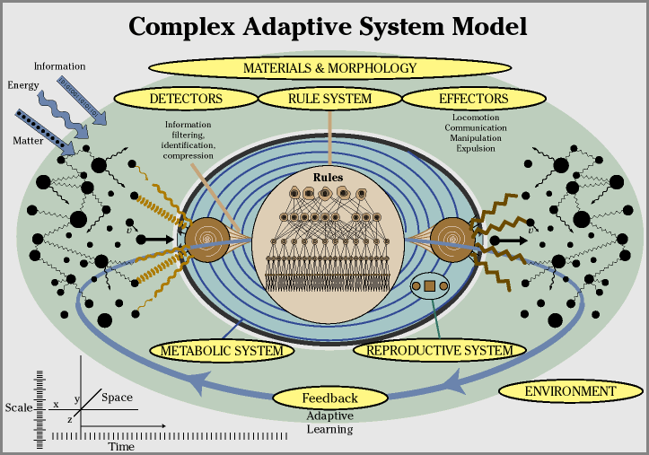 BrianRoemmele's tweet photo. I use AI derived complex adaptive systems to help gain clarity of some aspects of the future.

The economy is a complex adaptive system.

Clients are using these models from my report Post 2020 Pandemic-The 16 paths to plan.

All complex adaptive systems adapt and thrive. https://t.co/xdYeP1QBSi