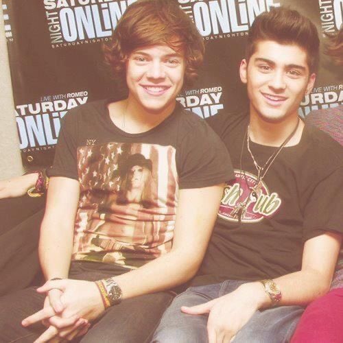 Harry Styles & Zayn Malik: Zarry, a superior friendship - A thread