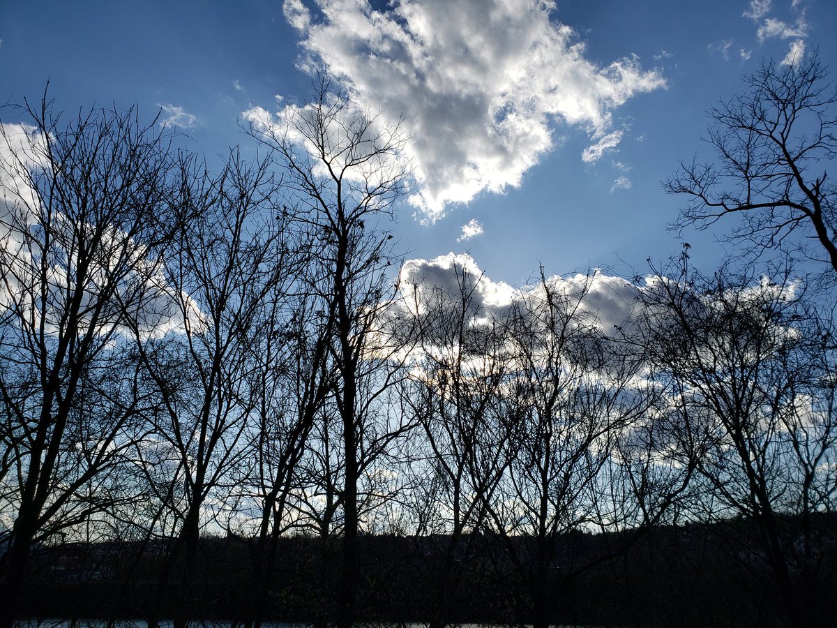 S_Beveridge's tweet image. View from my daily constitutional alongside the Monongahela River #SelfDistancing