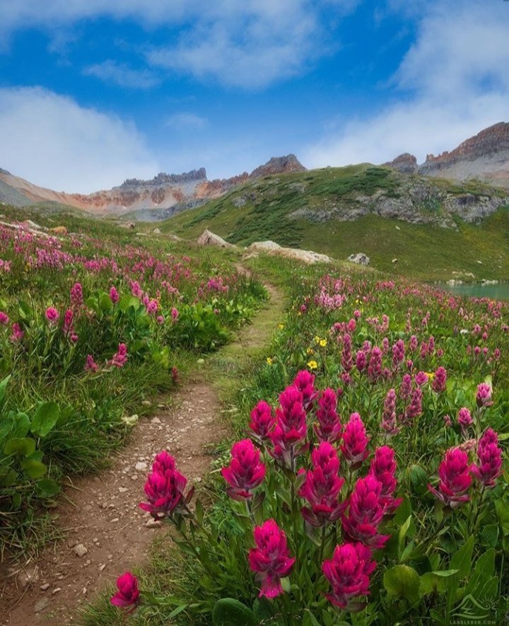 tanosiisupi_bot's tweet photo. The path to meet God passes through your inner world.

神に会う道は、あなたの内側を通っています。
#cognition #認知 #InnerGod #内なる神
RP @ShnailK https://t.co/38zscmcJgz
