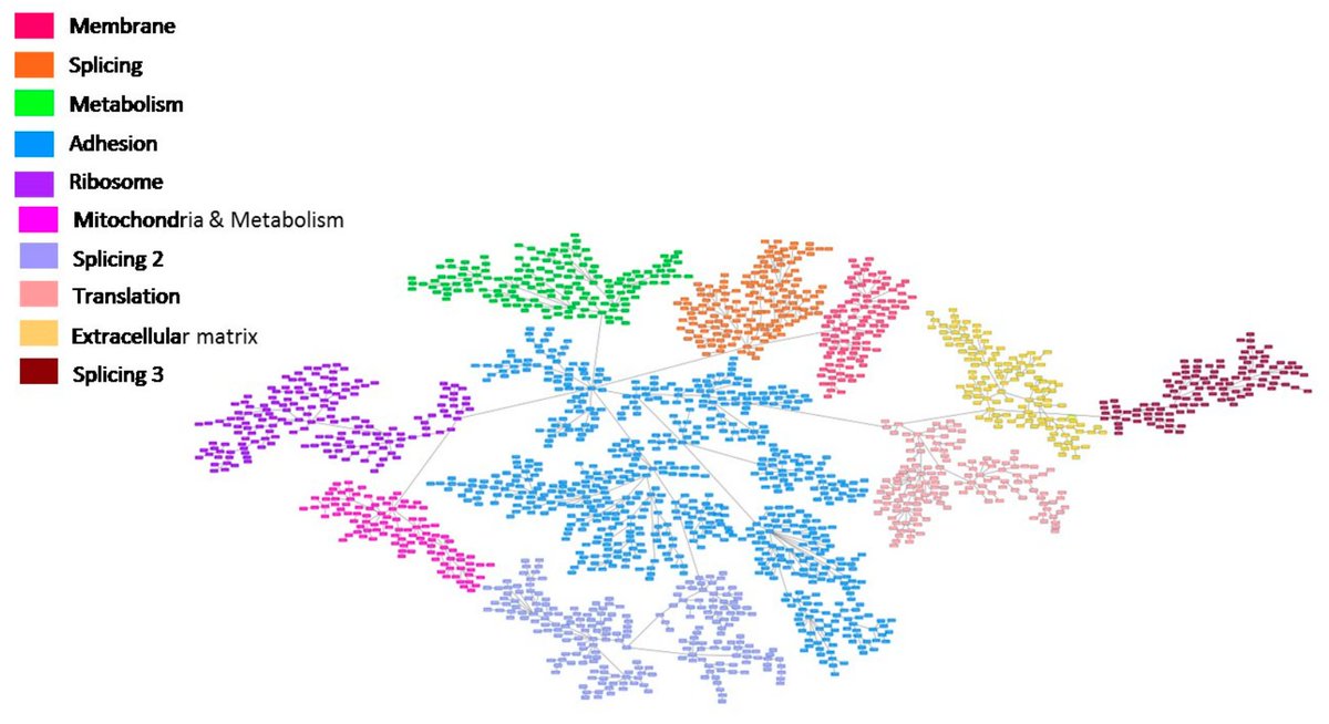 Molecular & Cellular Proteomics tweet media