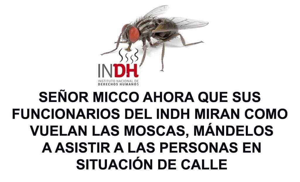 antoniovelas76's tweet photo. https://t.co/jUb33tNcmw