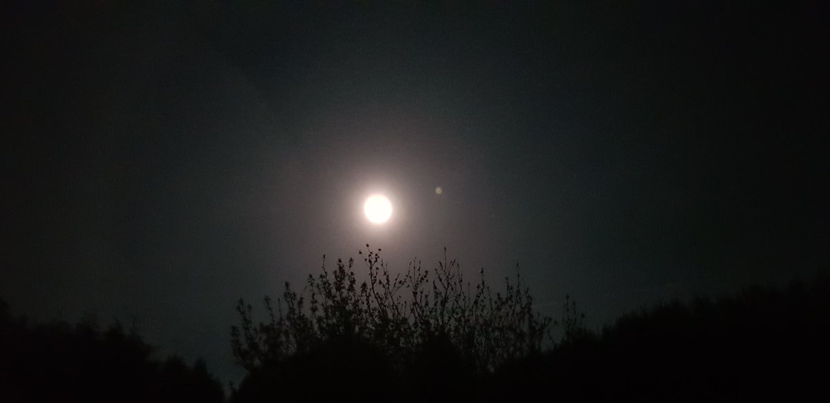 HelenTomkinson's tweet photo. @JonMitchellITV
  Pink supermoon this evening in Shiptonthorpe #PinkSupermoon #eastyorkshire #buddingpinkblossom #lockdown https://t.co/G9OjfDQTW1