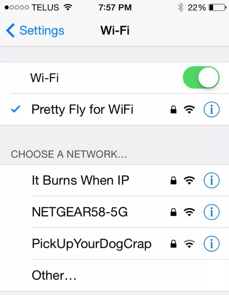 I bet his neighbor's network is "Pretty Fly for a WiFi”