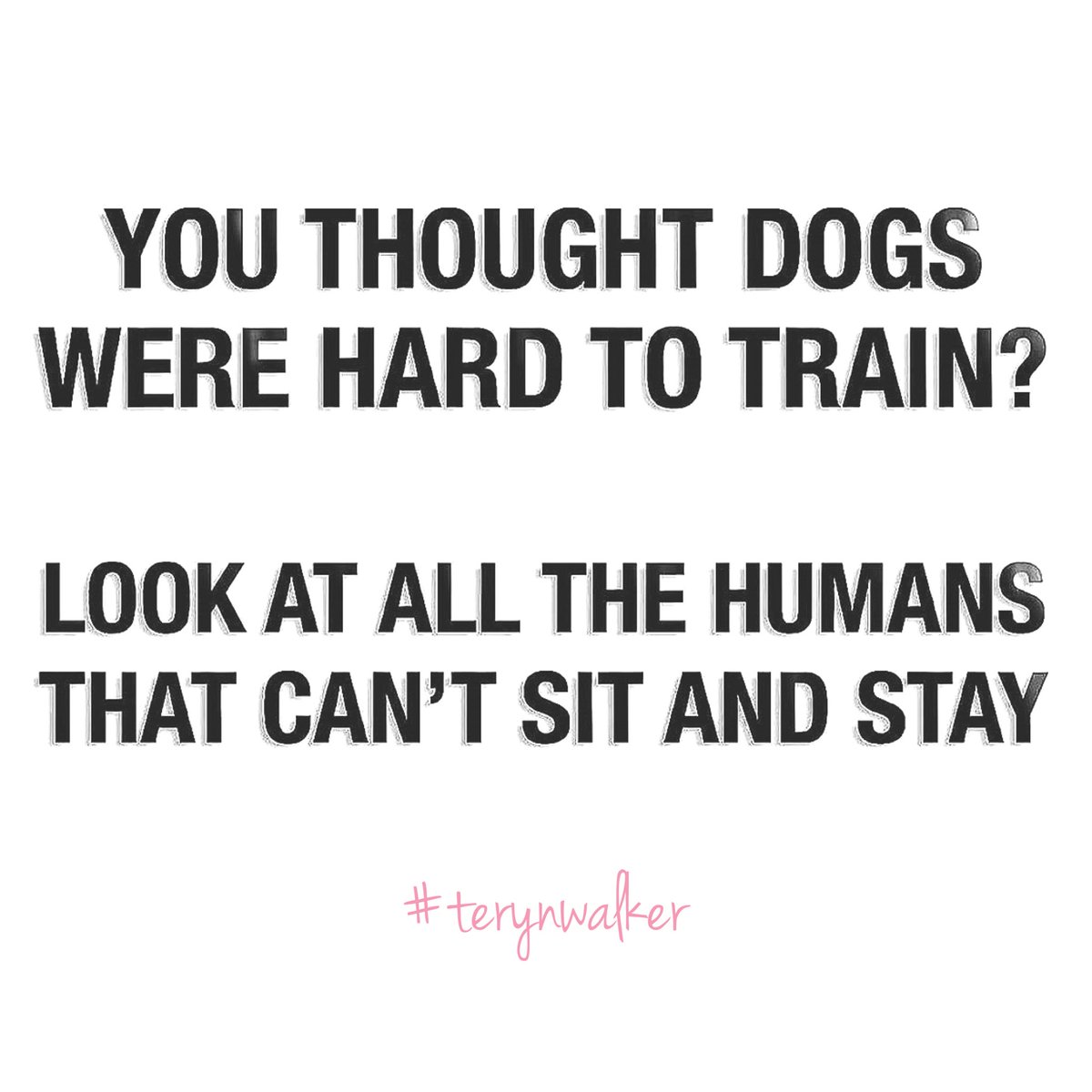 TerynWalker's tweet photo. Yep! ๐ถ
Try learning a new trick & #stayhome !
๐ #quarantine #covid19 #world #shutdown #adopt #foster #puppylove #weird #human #realestatelife #bored #missmyclients #terynwalker #realestate #momlife #girlmom #hustle #flow https://t.co/s6QSbQREUA