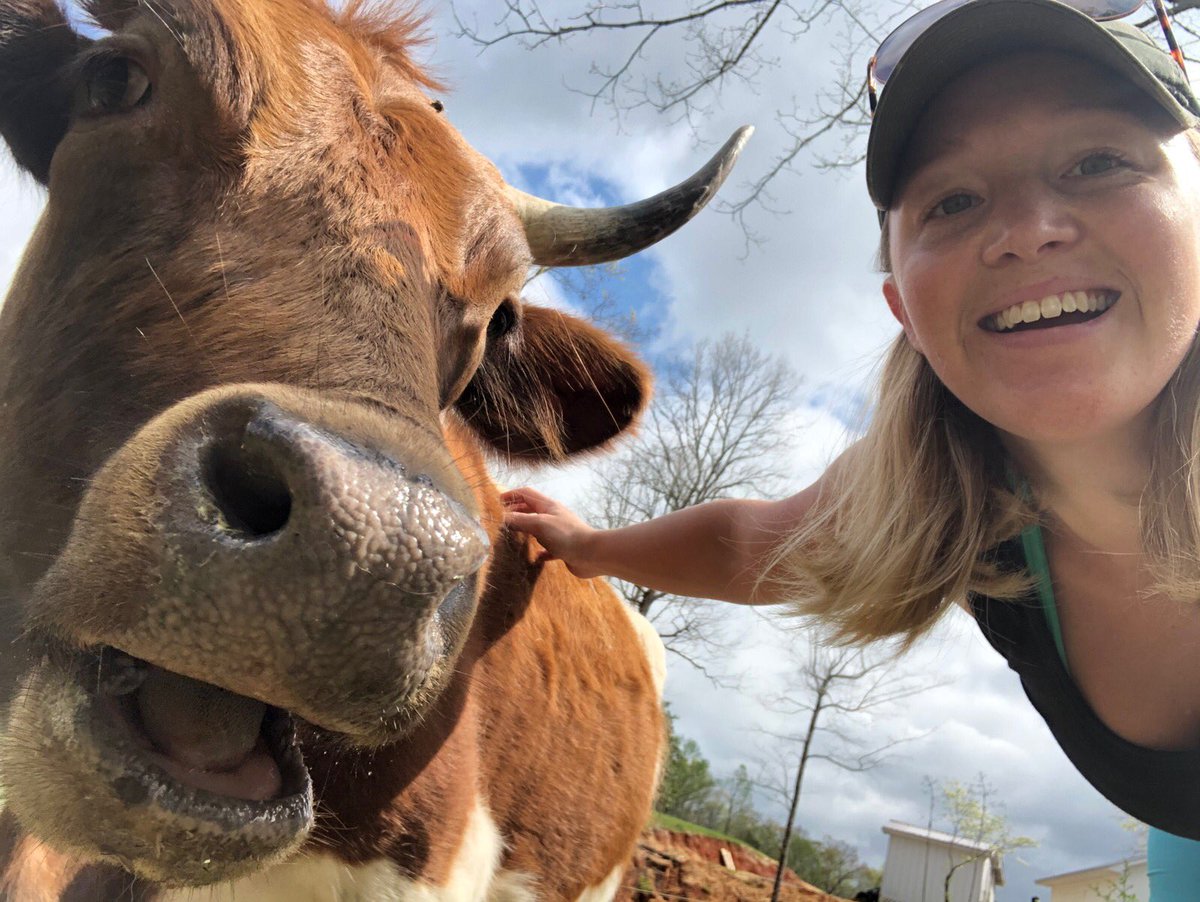 Smile!

#PineywoodsCattle #SmilingFriends