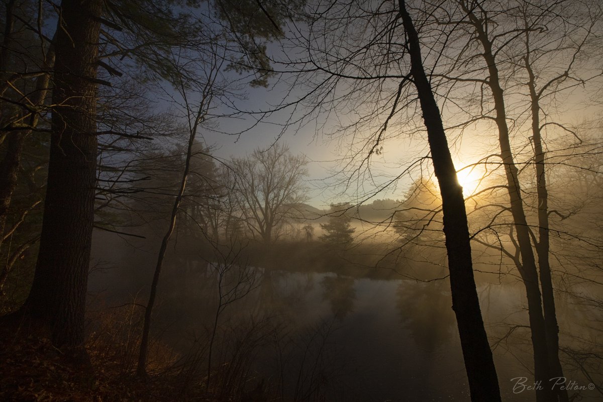 EightCattails's tweet image. I'm a morning person and glad I am, because there is no other time during the day that I feel truly at peace, hopeful and so close to nature. #newhampshire #nature #hope #sunrise #landscape #photography #newengland
