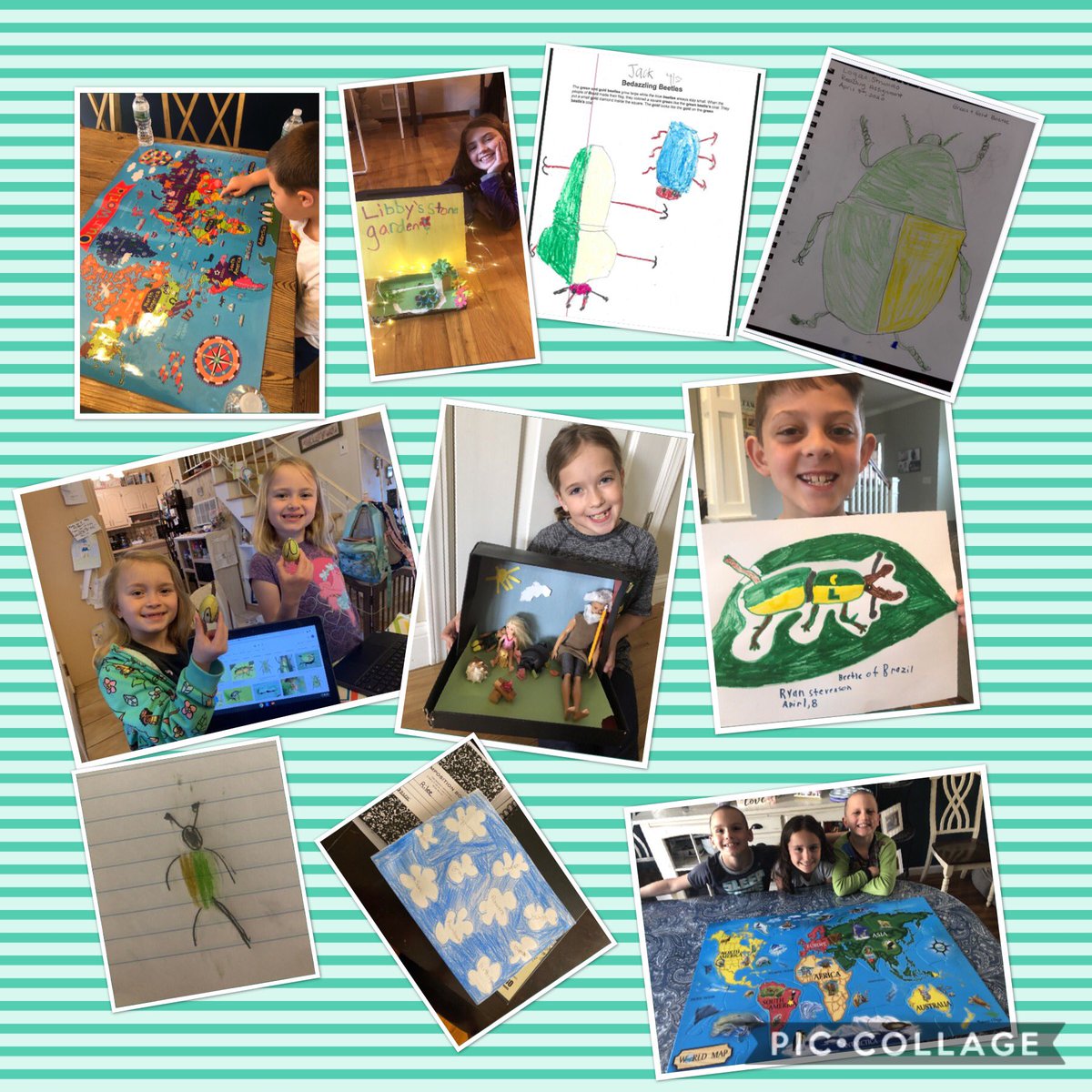 MrsJCuthbertson's tweet photo. So proud of all of this creativity as we wrapped up Benchmark Unit 4! @LC22Connelly @LCalabrese1 #22tigers https://t.co/rfJHv5xt6L