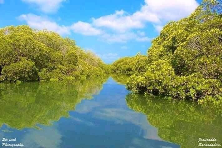 Discover the Sa'ad ad-Din Islands (also known as the Zeila archipelago), only 7km away from  #Zeila, northern Somalia.