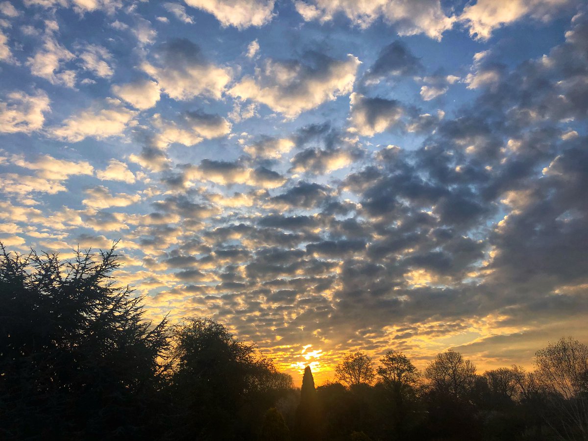 Lara - Covid is Airborne tweet media