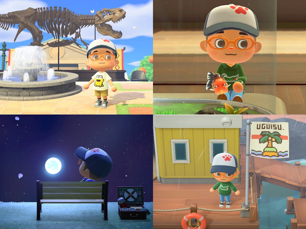 江戸家小猫 お籠りネコの毎日ですが 実は 無人島 うぐいす島 にて楽しく暮らしています スーパームーンも無人島で見ました 洋服などもデザインできるので わにパーカー と けろきちシャツ をつくりました 笑 こちらは版権があるので配信しま