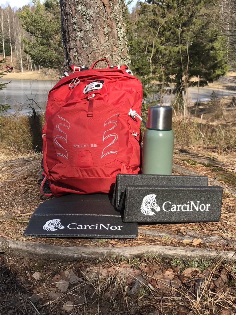 CarciNor tweet media