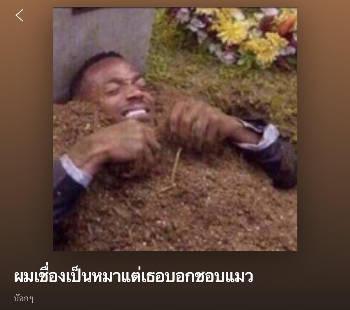 🐕🦺 tweet media