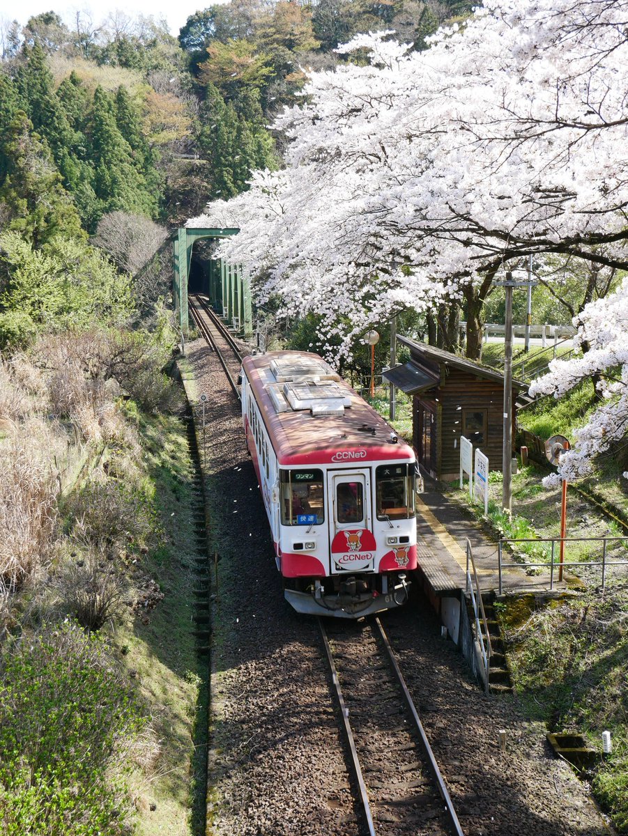 日当駅 Twitter Search 日当駅 Twitter Search