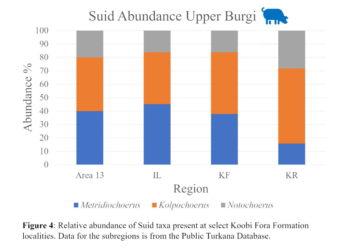 A Fisher's Exact Test was used to determine whether Area 13 was unique compared to surrounding and nearby subregions. The bone walk data from Area 13 did not differ significantly from KF (p=0.33) nor KR (p=0.07), but did differ from the IL Subregion (p<0.05).
