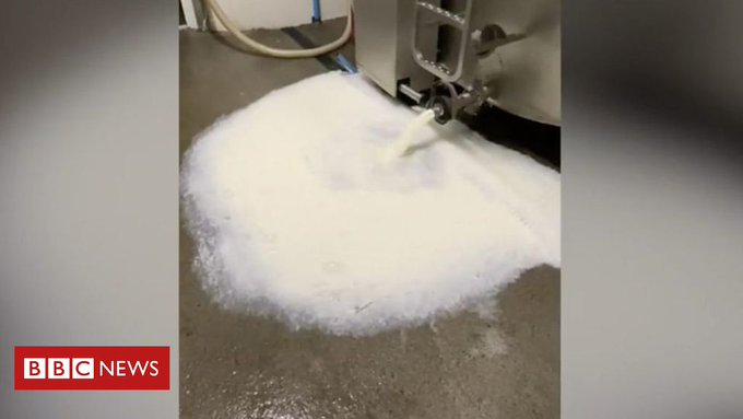 Ver imagem no Twitter