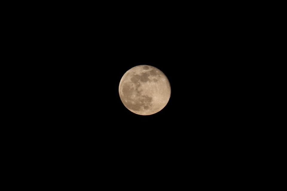 raceinprogress's tweet photo. In the absence of no track meets & athletes to take pictures of, there was tonightโs very cool moon! #coronavirus #missingtrack https://t.co/fHWrSMsBIt