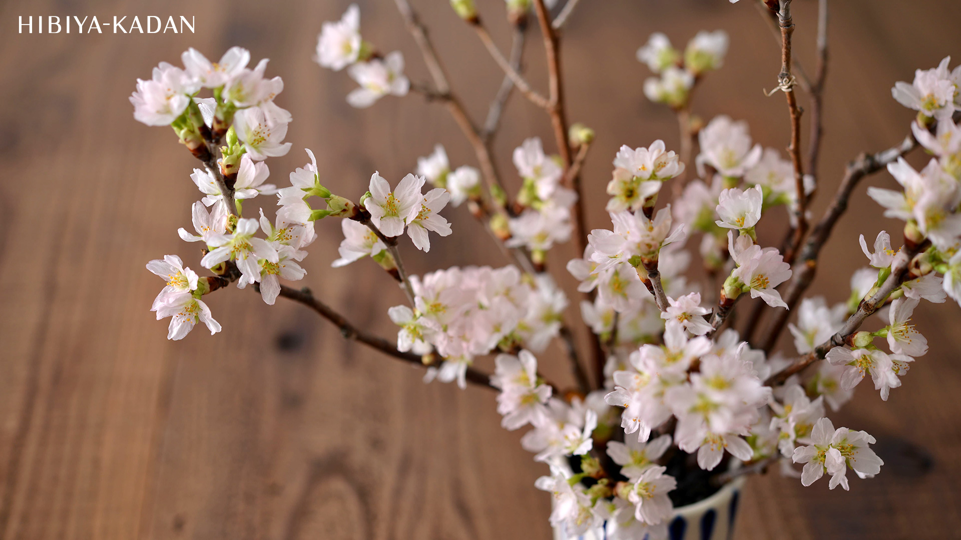 日比谷花壇 おうちにお花を飾ってね お仕事に 飲み会に ご自由にお使いください バーチャル背景 Web会議 Zoom背景 在宅勤務 テレワーク バーチャル花見 うち花見 オンライン飲み会 Zoom飲み会 Stayhome 壁紙配布 壁紙 T Co