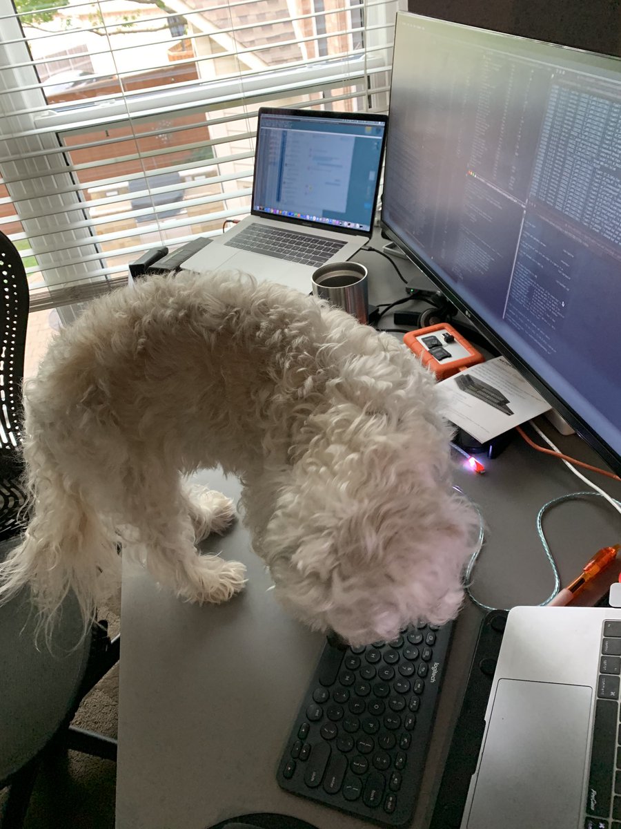 STANLEY WORK FROM HOME