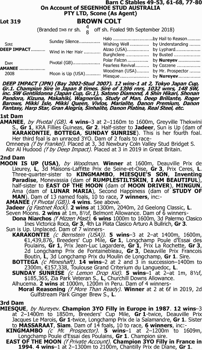 馬 Le Cheval♘♞ tweet media