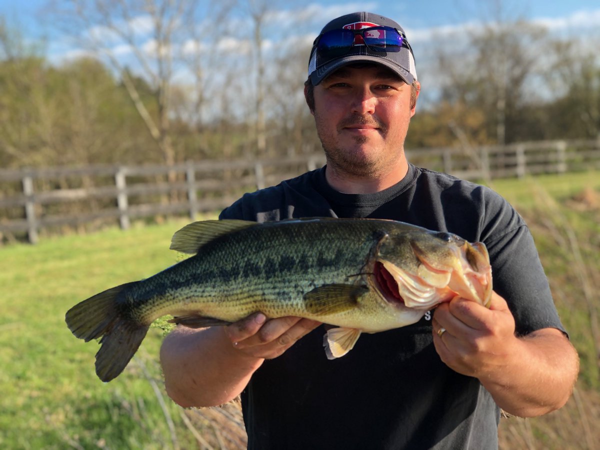 SouthernSkyOD's tweet photo. This 21” beauty fell for the #KVD1.0 Great afternoon if pond fishing.
#bassfishing #largemouth https://t.co/WtE2t2FNyf