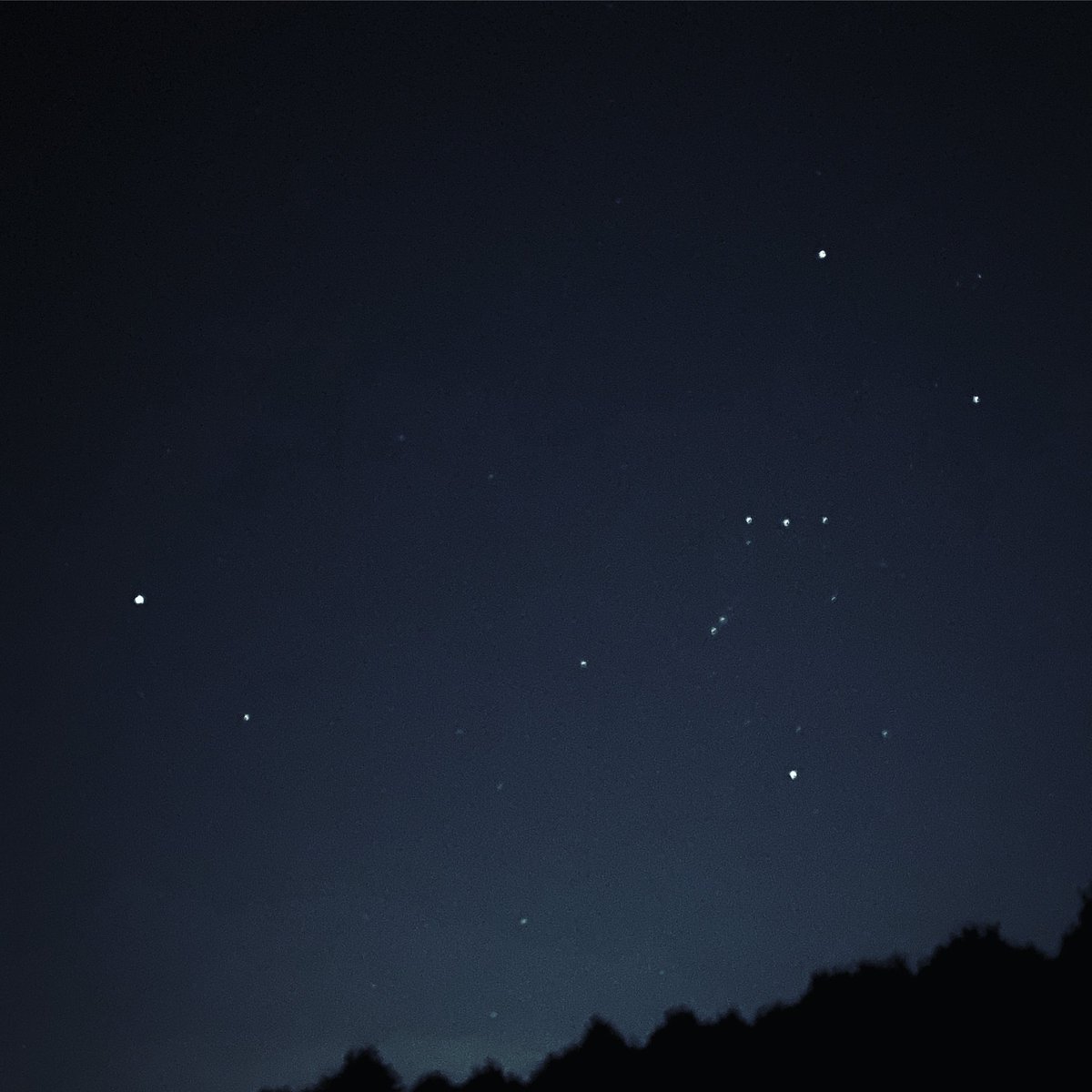 EbiePipeOrgan's tweet photo. Goodnight, Orion. 

#iphoneastrophotography #winterconstellations @StormHour https://t.co/8mt2RWy0pz