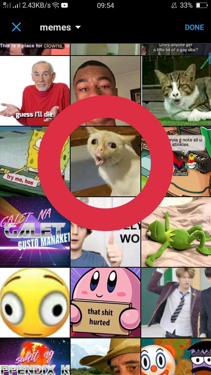 also i would like to point out that i have three copies of the same cat meme in my meme folder and i am so pleased with myself i love life