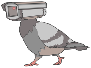ShittyVlog's tweet photo. baby pigeons? never seen one. #birdsarentreal https://t.co/UtX62LJau2