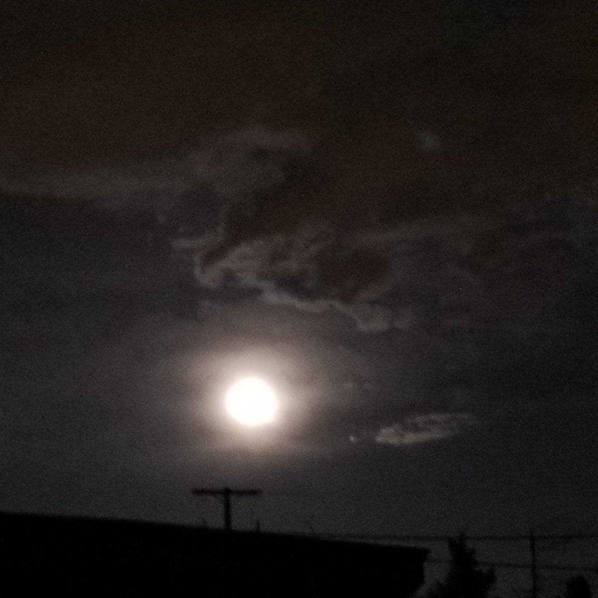 Paulette_writes's tweet photo. Still a little cloudy but better #pinkmoon pix tonight! So pretty! #fullmoon #fishmoon #eggmoon #supermoon https://t.co/wtJx6USC9h