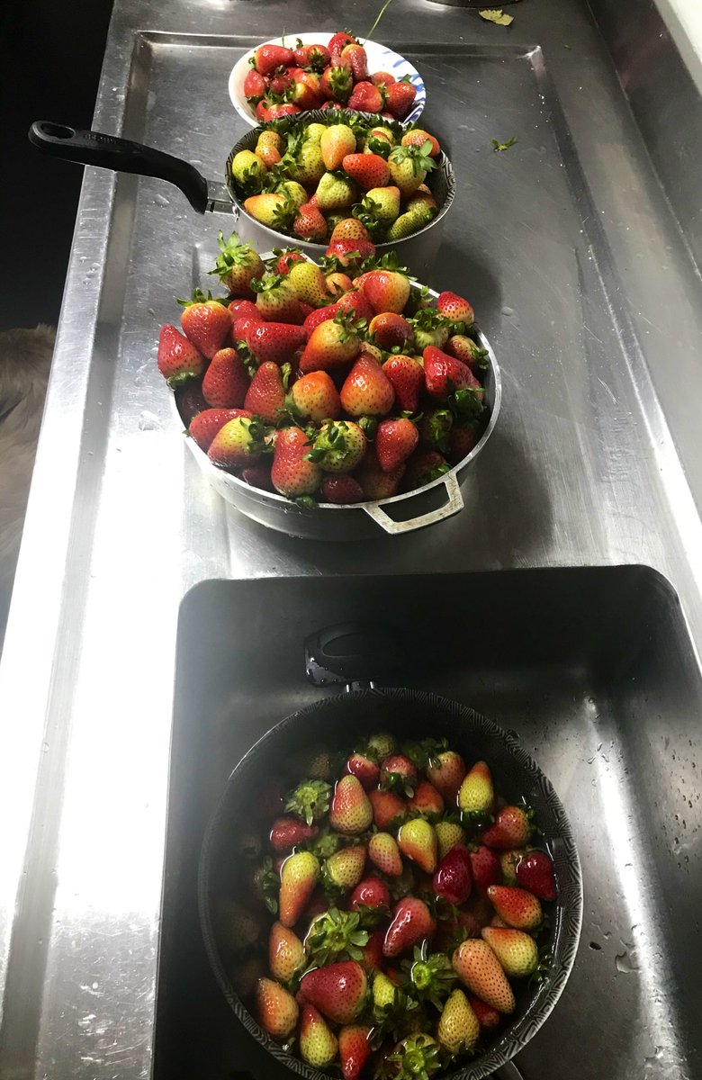 svilardyq's tweet photo. Las fresas de Subachoque llegarón hoy .... https://t.co/PH56v1JUe7