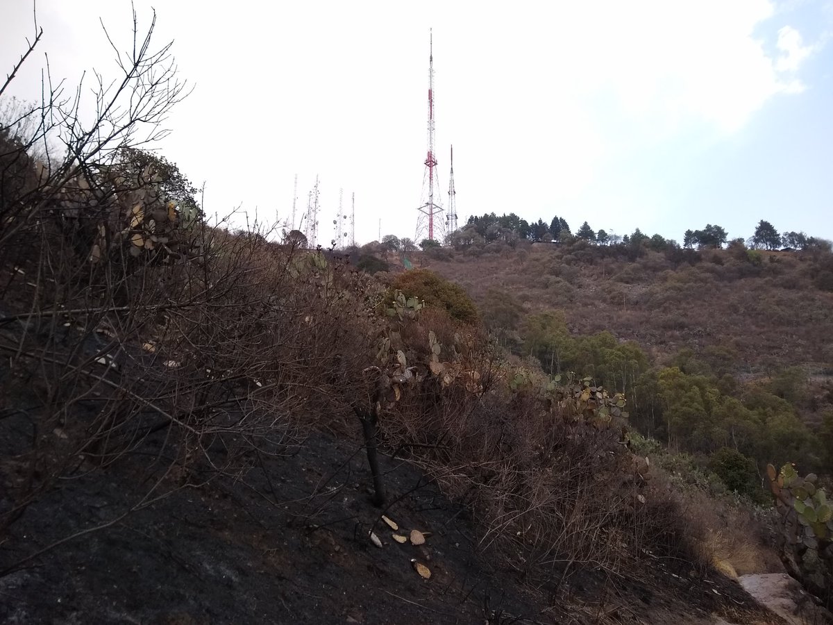 Motorolizer's tweet photo. La devastación ocasionada por los incendios de finales de marzo de este año en el 
Pico Tres Padres (#Cuauhtépetl) en #GAM y en el Picacho El Fraile en #Tultitlán. Realmente son héroes los que lucharon para sofocar el fuego; y a su debido tiempo la zona renacerá de sus cenizas. https://t.co/rxLY8JJTW6
