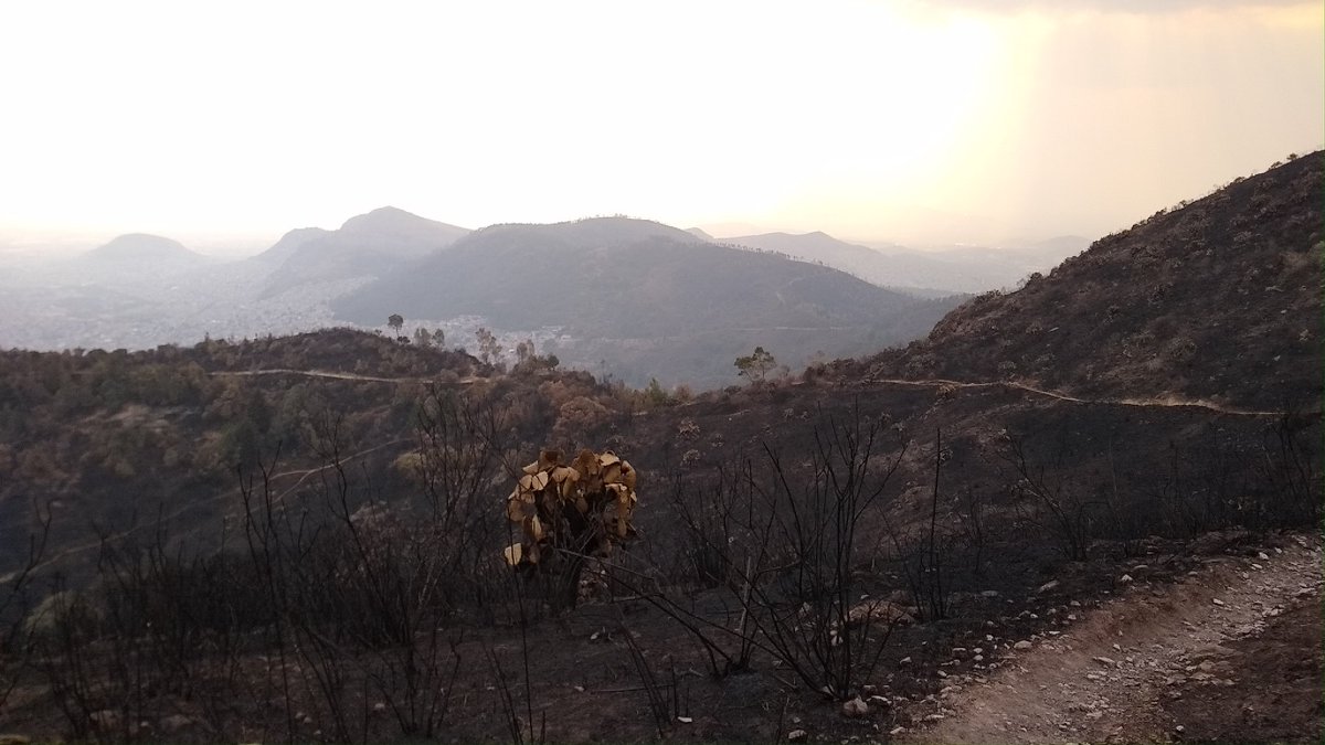 Motorolizer's tweet photo. La devastación ocasionada por los incendios de finales de marzo de este año en el 
Pico Tres Padres (#Cuauhtépetl) en #GAM y en el Picacho El Fraile en #Tultitlán. Realmente son héroes los que lucharon para sofocar el fuego; y a su debido tiempo la zona renacerá de sus cenizas. https://t.co/rxLY8JJTW6