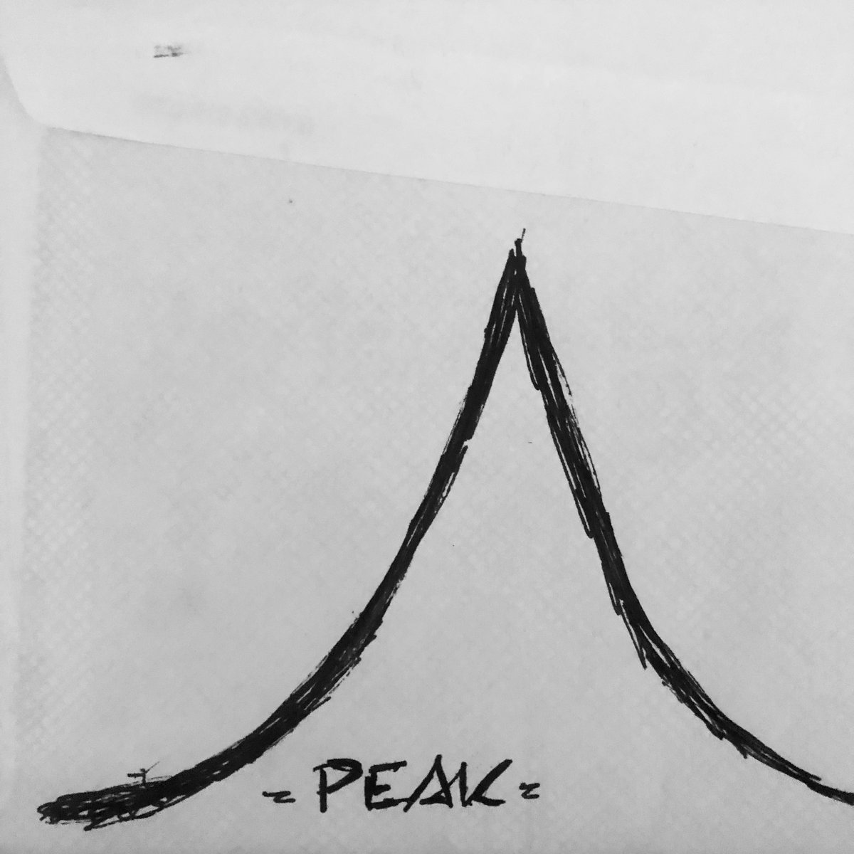 A 'peak' means cases rise, reach a maximum, then go down about as quickly as they shot up.This is unlikely. It's just not how viruses like this work. This is not what I expect for NYC.