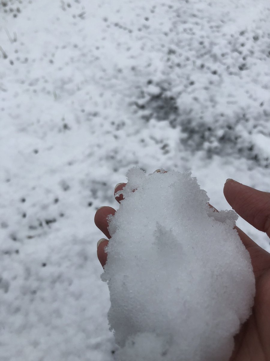 KARUPASU13's tweet photo. 雪だぁぁぁあーー❄️☃️
※3月29日に撮ったものです
#雪 https://t.co/l3zcabE9GR