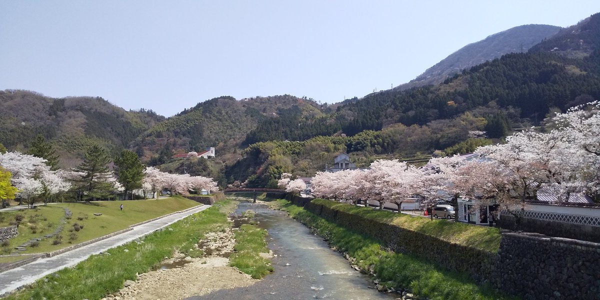 津和野町観光協会 津和野川沿いの桜は満開をキープしています 今年は気温がそんなに上がっていないので桜の花も長い時間咲いています 津和野町観光協会 津和野川沿いの桜は満開をキープしています 今年は気温がそんなに上がっていないので桜の花も長い時間咲いています