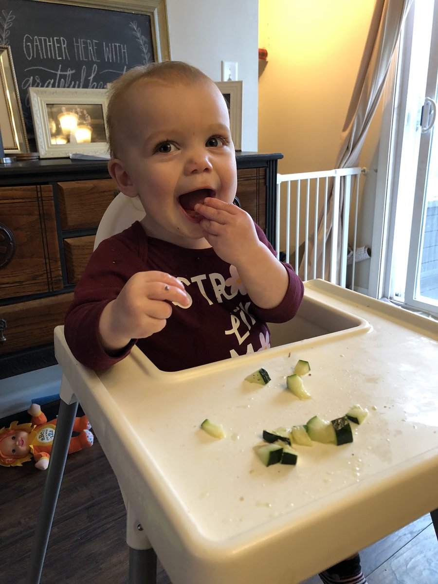 SraLesperance's tweet photo. Lesperance Daily Quarantine Report:
When you’re home ALL THE TIME you also have to make ALL THE MEALS. Who knew? Missing the GCHS cafeteria crew saving me meal prep once a day! #AllInIllinois #StayHome #somanygroceries https://t.co/gLeCd8iegi