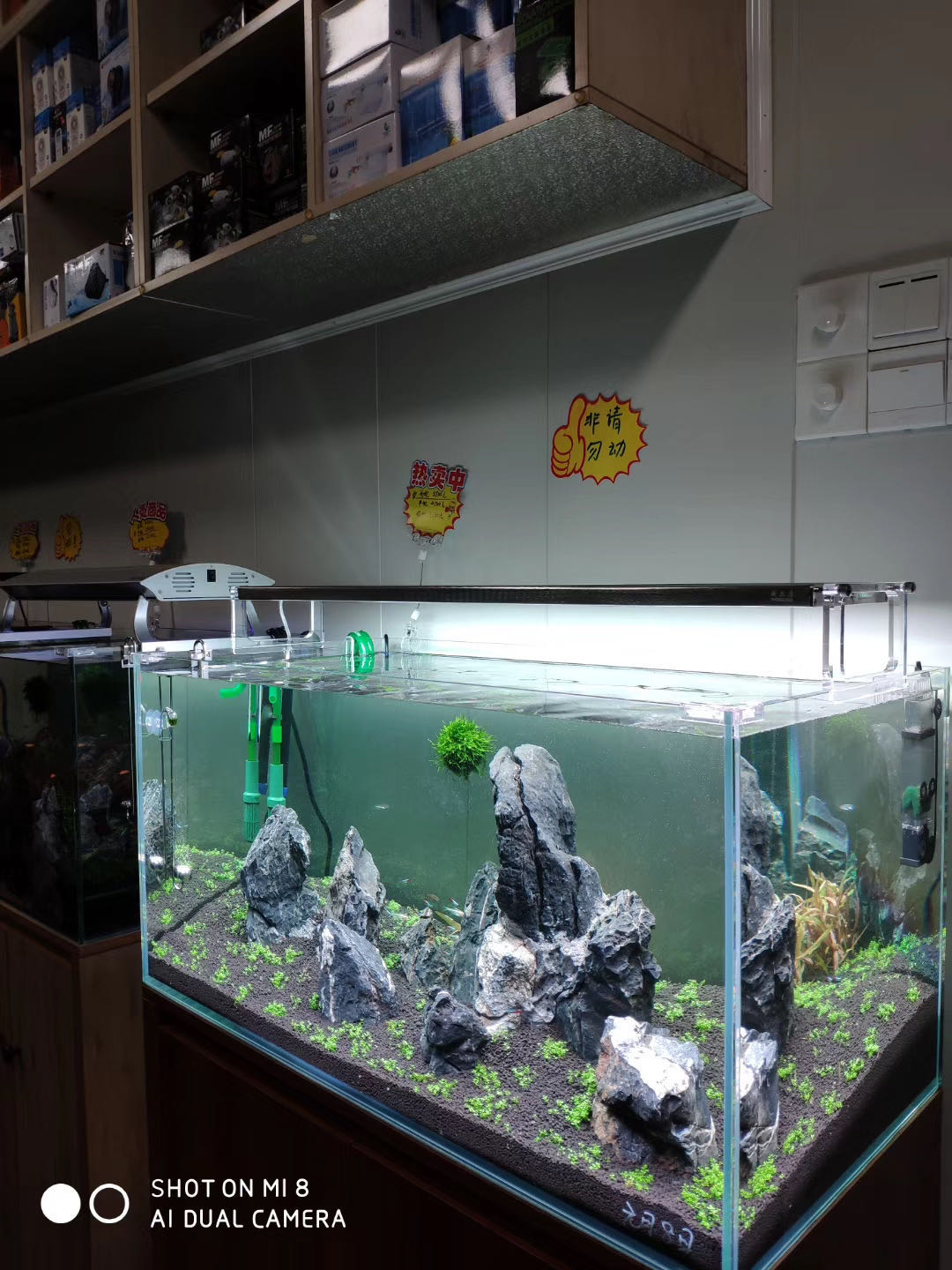 660 Contoh Landscape Aquarium HD