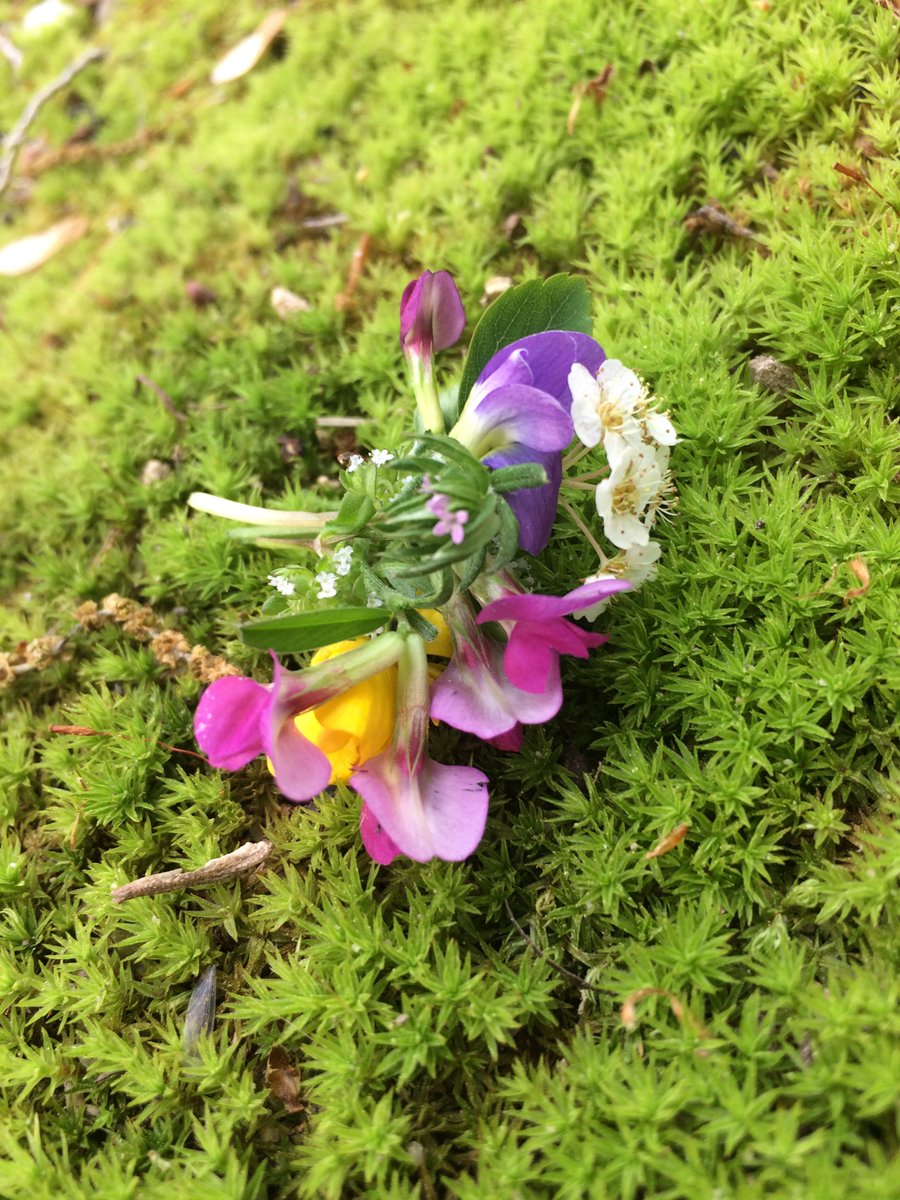 So what to do with our bouquet? Well there so happened to be a small historic cemetery on the farm's property, so we decided to leave our flowers there as a memorial. We didn't stand on or photograph the gravestones, but we left our flowers on the mossy ground.