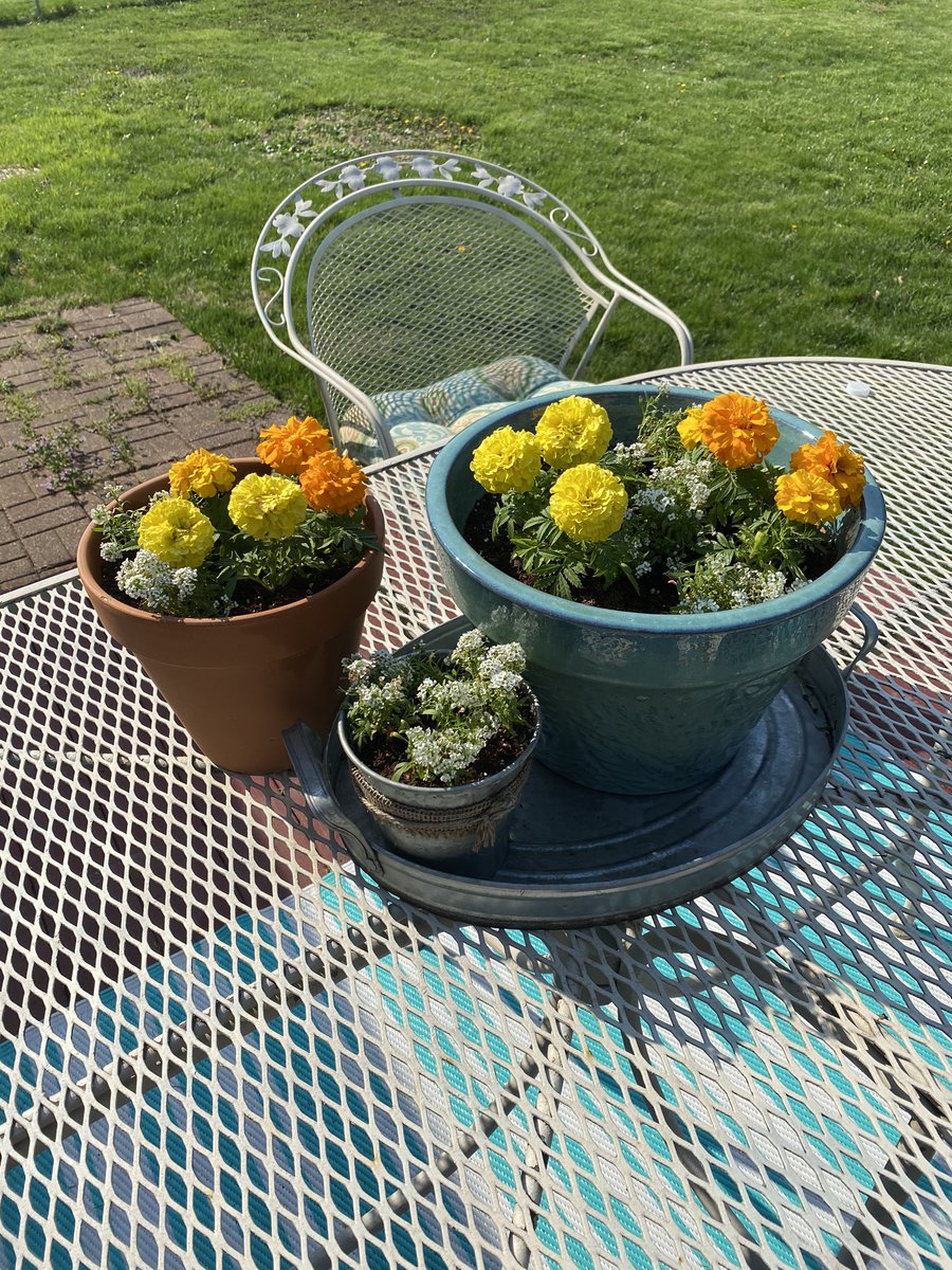 Miss Sharp’s First Grade Class tweet media