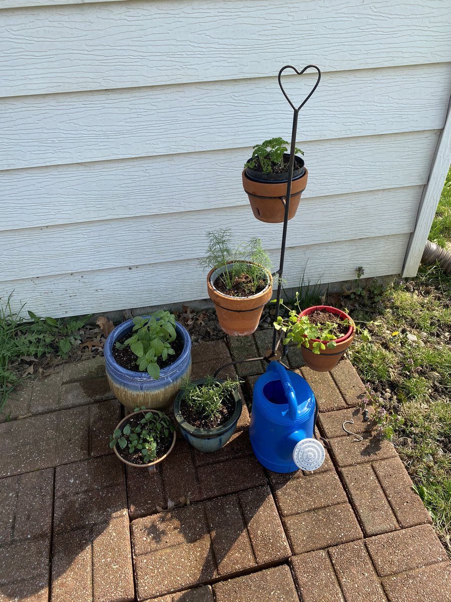 Miss Sharp’s First Grade Class tweet media